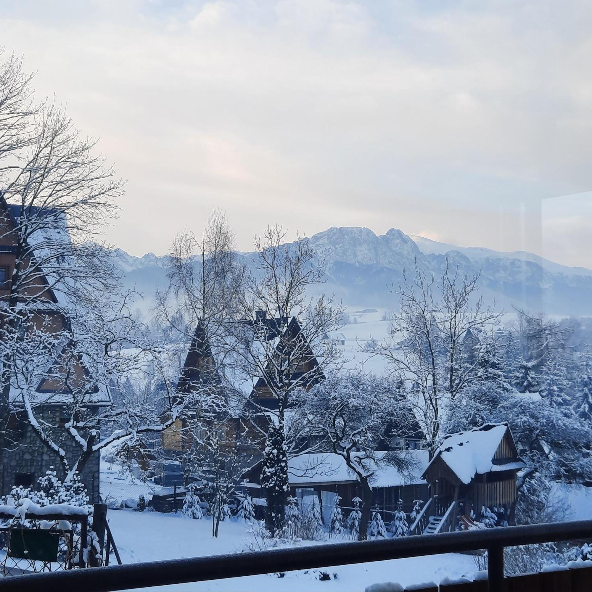 Willa U Bzyka Zakopane Exterior foto